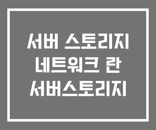 서버 스토리지 네트워크 란 서버스토리지 서버 스토리지 네트워크 란 서버스토리지