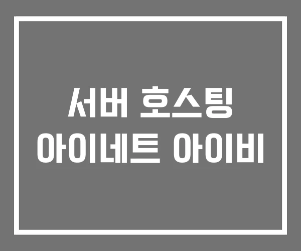 서버 호스팅 아이네트 아이비