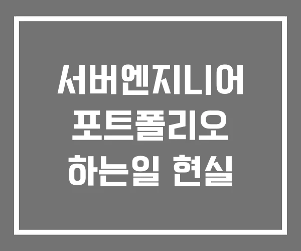 서버엔지니어 포트폴리오 하는일 현실