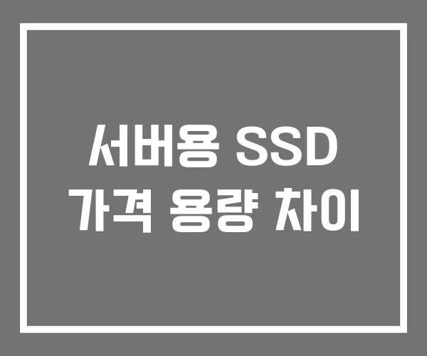 서버용 SSD 가격 용량 차이