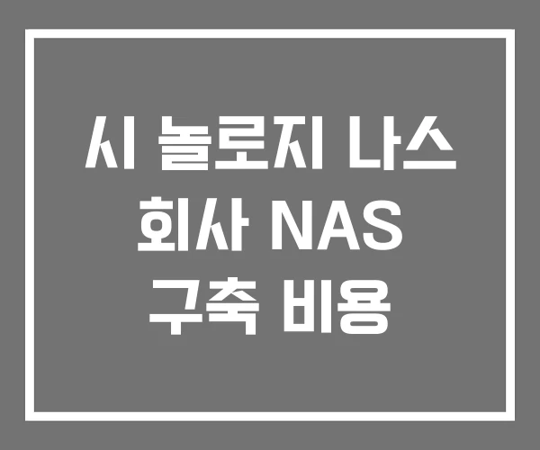 시 놀로지 나스 회사 NAS 구축 비용