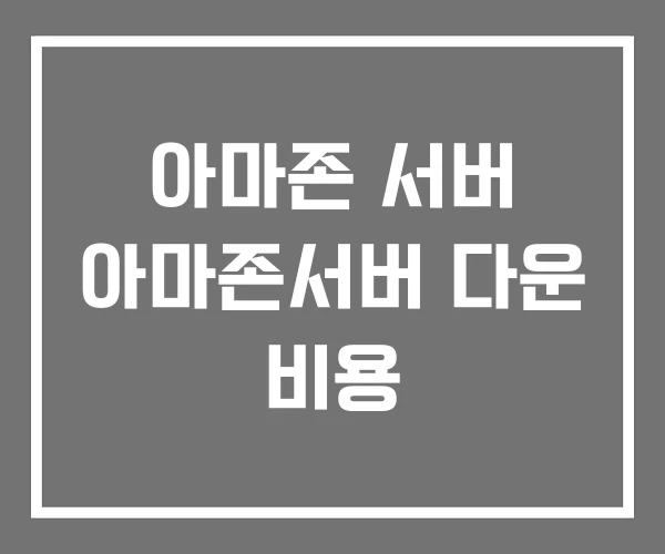 아마존 서버 아마존서버 다운 비용