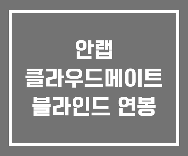 안랩 클라우드메이트 블라인드 연봉