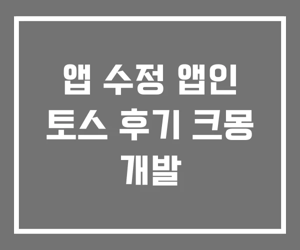 앱 수정 앱인 토스 후기 크몽 개발
