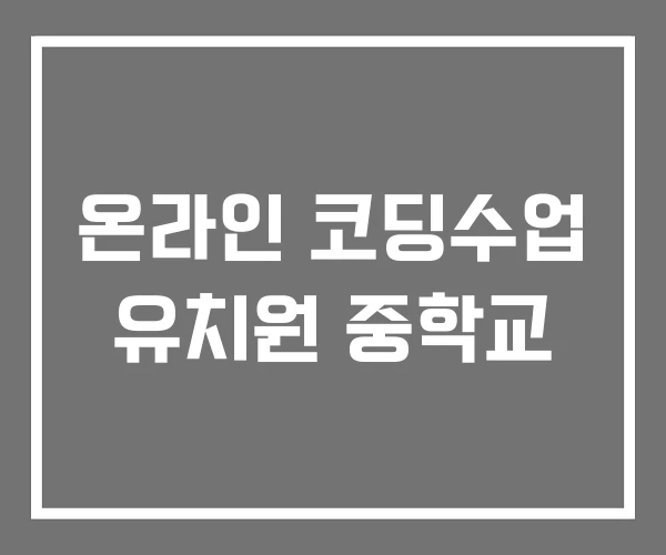 온라인 코딩수업 유치원 중학교