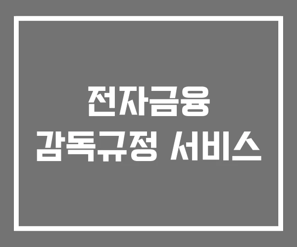 전자금융 감독규정 서비스