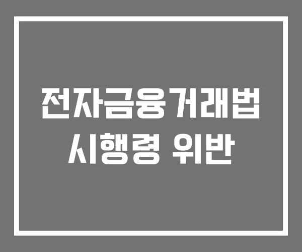 전자금융거래법 시행령 위반