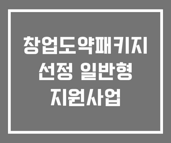 창업도약패키지 선정 일반형 지원사업 창업도약패키지 선정 일반형 지원사업