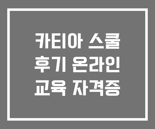 카티아 스쿨 후기 온라인 교육 자격증