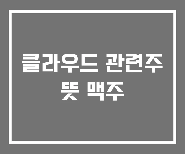 클라우드 관련주 뜻 맥주