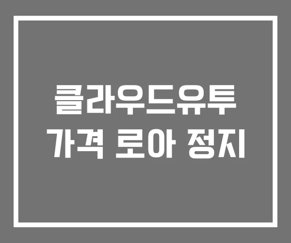클라우드유투 가격 로아 정지
