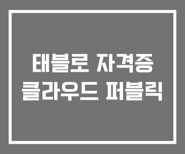 태블로 자격증 클라우드 퍼블릭