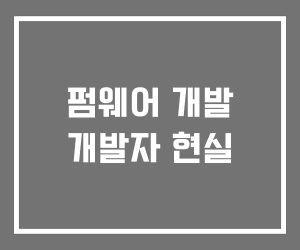 펌웨어 개발 개발자 현실 펌웨어 개발 개발자 현실