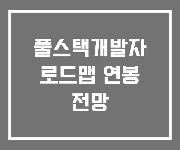 풀스택개발자 로드맵 연봉 전망