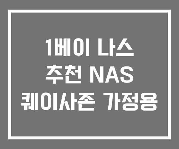 1베이 나스 추천 NAS 퀘이사존 가정용