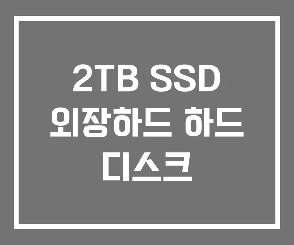 2TB SSD 외장하드 하드 디스크