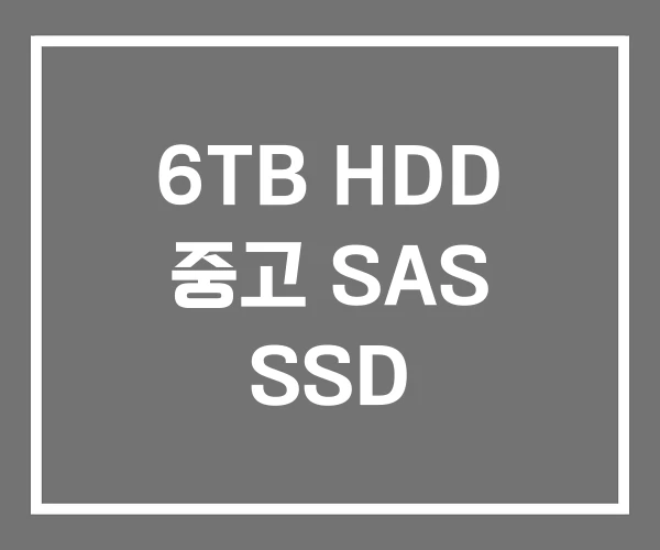 6TB HDD 중고 SAS SSD