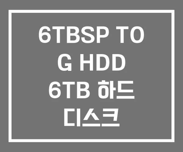 6TBSP TO G HDD 6TB 하드 디스크