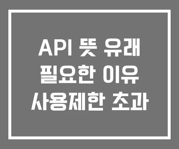 API 뜻 유래 필요한 이유 사용제한 초과 API 뜻 유래 필요한 이유 사용제한 초과