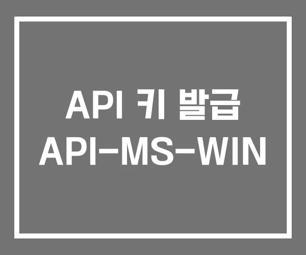 API 키 발급 API-MS-WIN