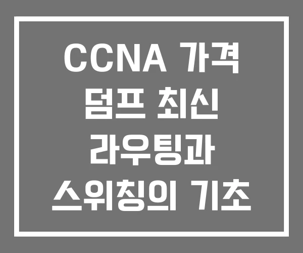 CCNA 가격 덤프 최신 라우팅과 스위칭의 기초