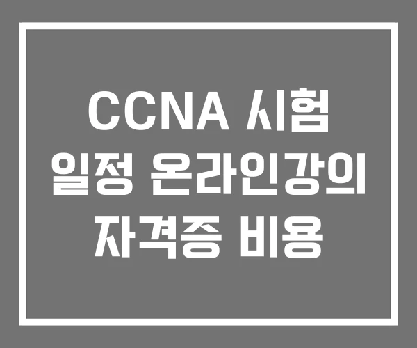 CCNA 시험 일정 온라인강의 자격증 비용