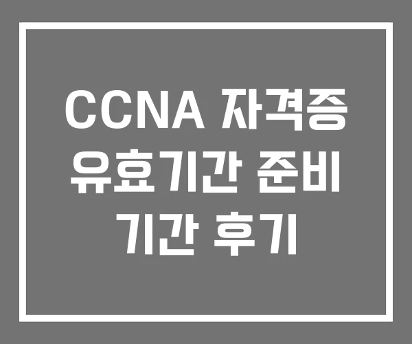 CCNA 자격증 유효기간 준비 기간 후기 CCNA 자격증 유효기간 준비 기간 후기