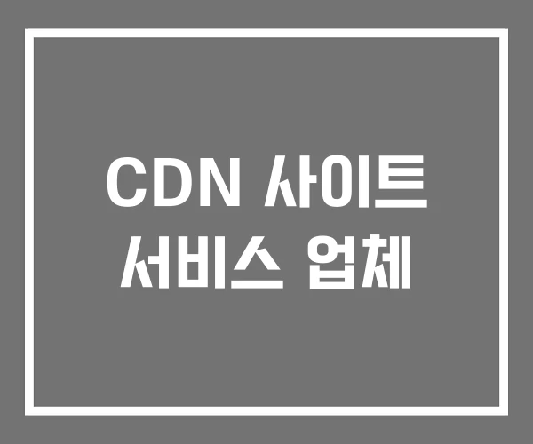 CDN 사이트 서비스 업체