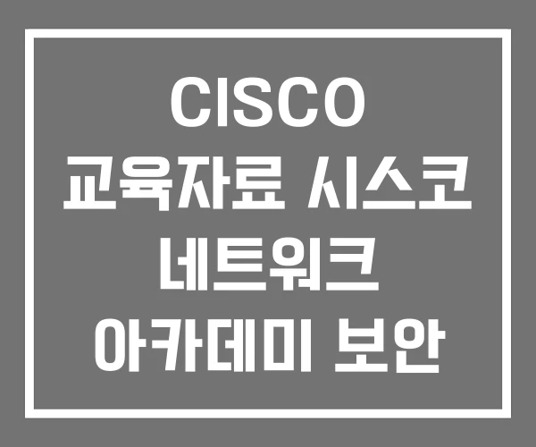 CISCO 교육자료 시스코 네트워크 아카데미 보안 면접