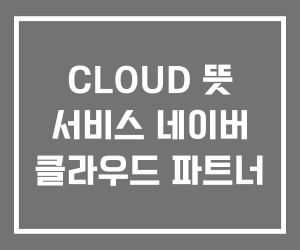 CLOUD 뜻 서비스 네이버 클라우드 파트너