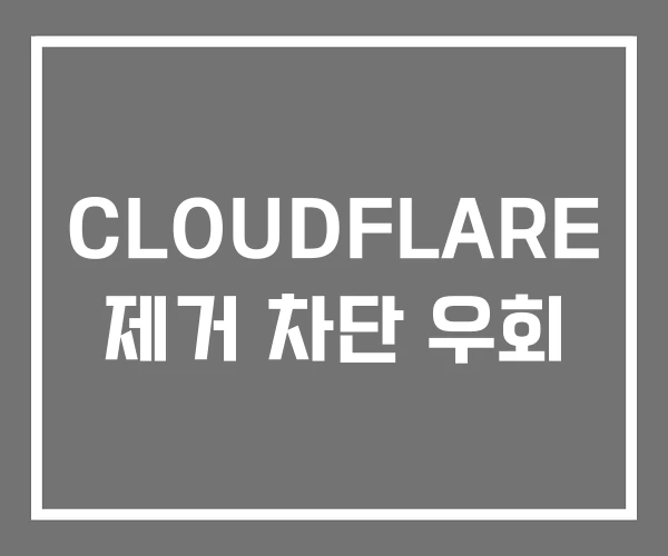 CLOUDFLARE 제거 차단 우회