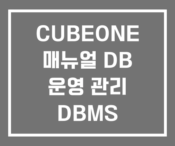 CUBEONE 매뉴얼 DB 운영 관리 DBMS CUBEONE 매뉴얼 DB 운영 관리 DBMS