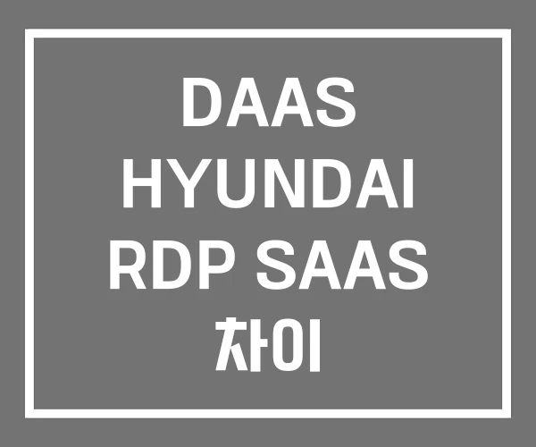 DAAS HYUNDAI RDP SAAS 차이