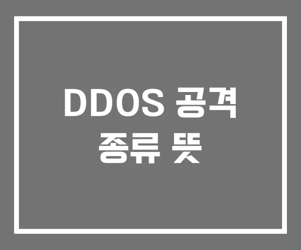 DDOS 공격 종류 뜻