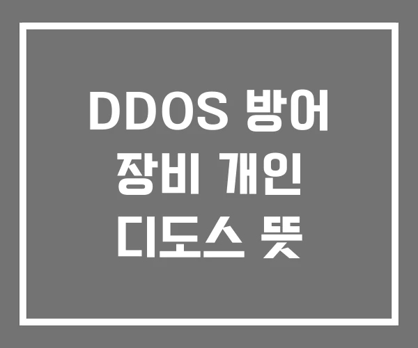 DDOS 방어 장비 개인 디도스 뜻 DDOS 방어 장비 개인 디도스 뜻