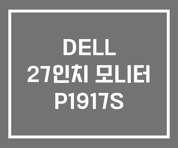 DELL 27인치 모니터 P1917S