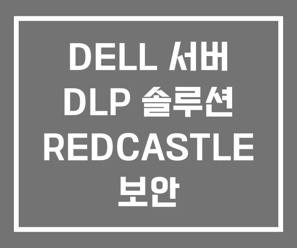 DELL 서버 DLP 솔루션 REDCASTLE 보안