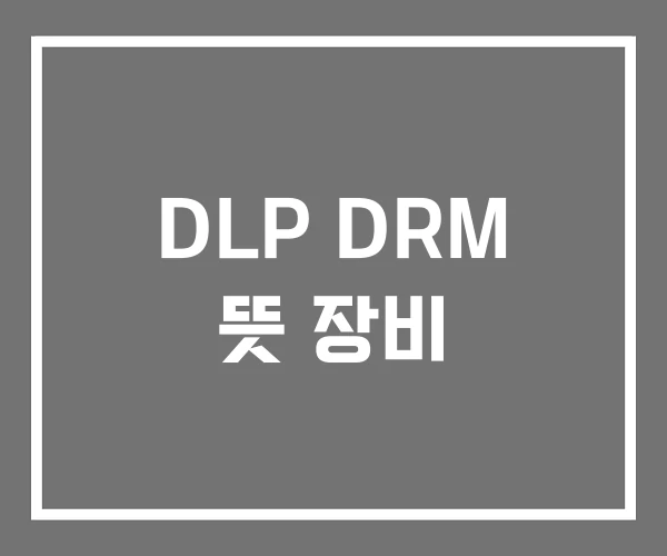 DLP DRM 뜻 장비