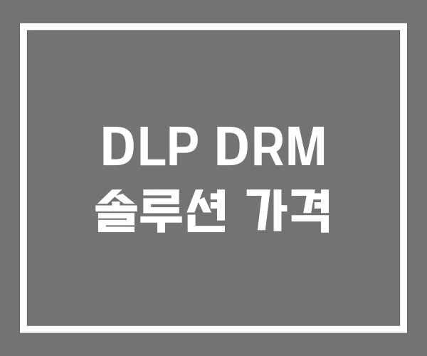 DLP DRM 솔루션 가격