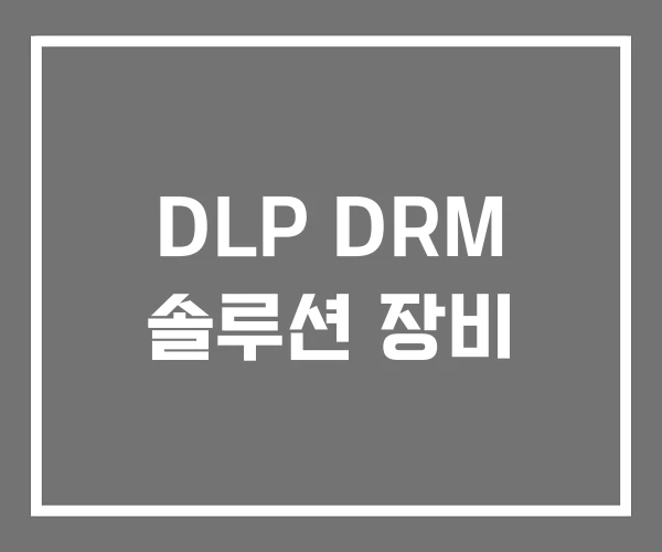 DLP DRM 솔루션 장비 DLP DRM 솔루션 장비