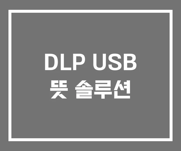 DLP USB 뜻 솔루션 DLP USB 뜻 솔루션