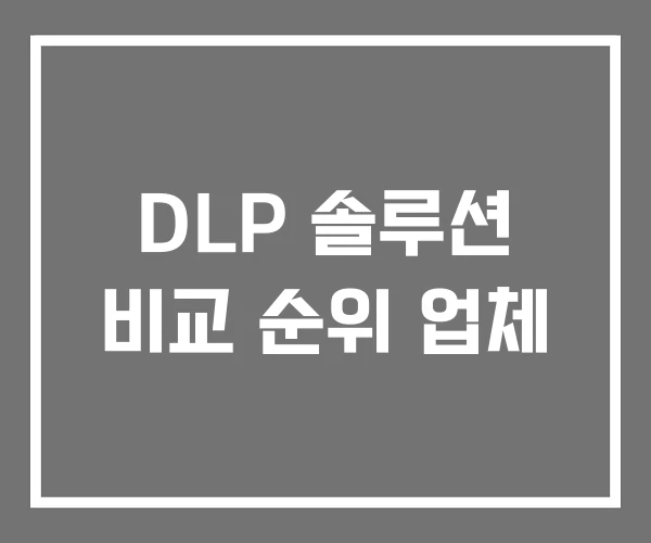 DLP 솔루션 비교 순위 업체