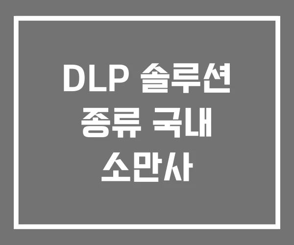 DLP 솔루션 종류 국내 소만사