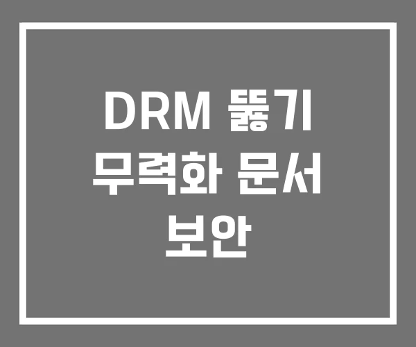 DRM 뚫기 무력화 문서 보안 DRM 뚫기 무력화 문서 보안