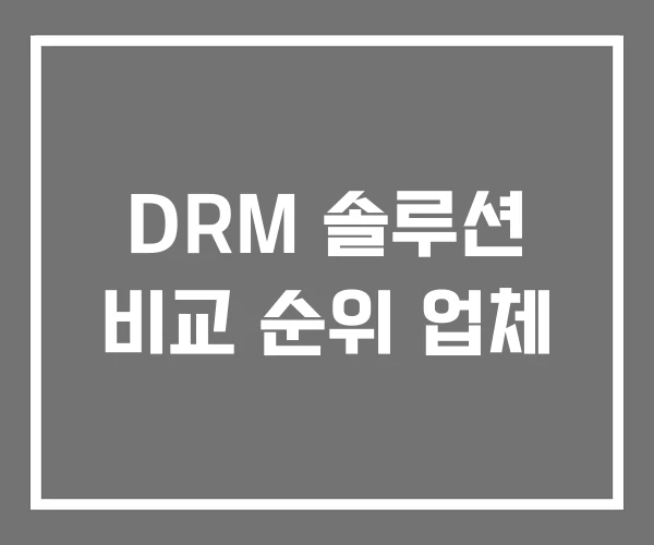 DRM 솔루션 비교 순위 업체