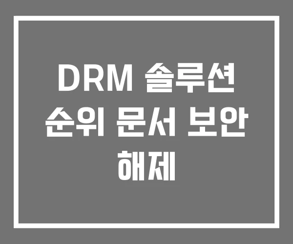 DRM 솔루션 순위 문서 보안 해제 DRM 솔루션 순위 문서 보안 해제