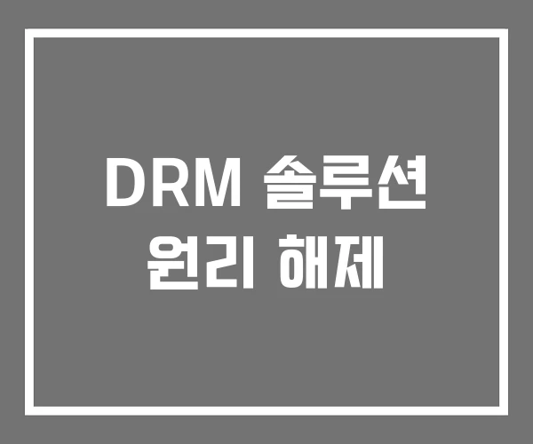 DRM 솔루션 원리 해제