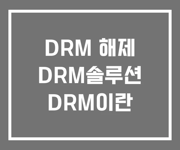 DRM 해제 DRM솔루션 DRM이란