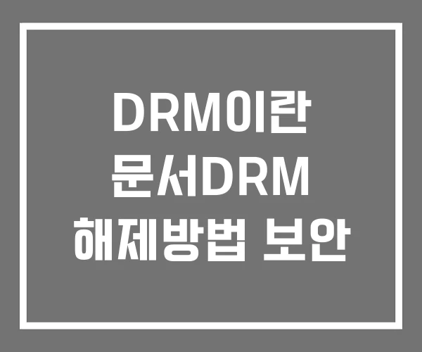 DRM이란 문서DRM 해제방법 보안