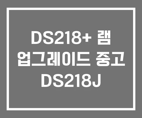DS218+ 램 업그레이드 중고 DS218J